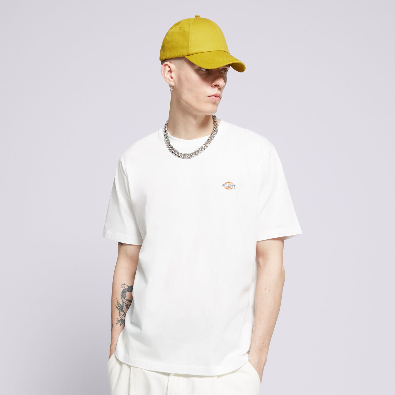Muške majice DICKIES T-SHIRT SS MAPLETON TEE DK0A4XDBWHX1 bijela