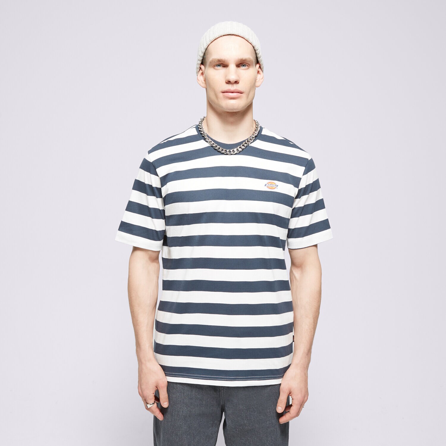 Muške majice DICKIES T-SHIRT RIVERGROVE DK0A4Y8YAF01 tamno plava