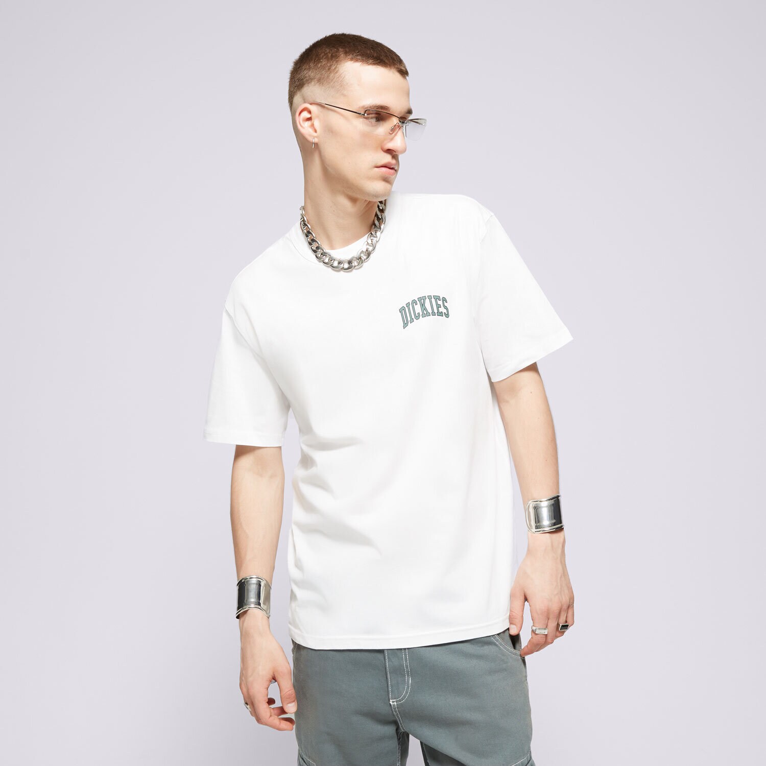 Muške majice DICKIES T-SHIRT AITKIN CHEST TEE SS DK0A4Y8OJ401 bijela