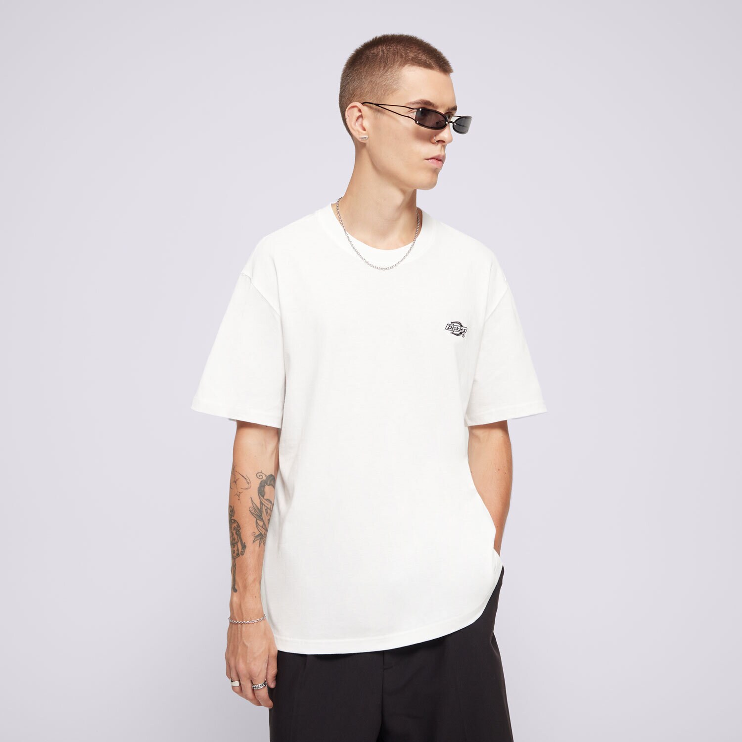 Muške majice DICKIES T-SHIRT SUMMERDALE SS TEE DK0A4YAIWHX1 bijela