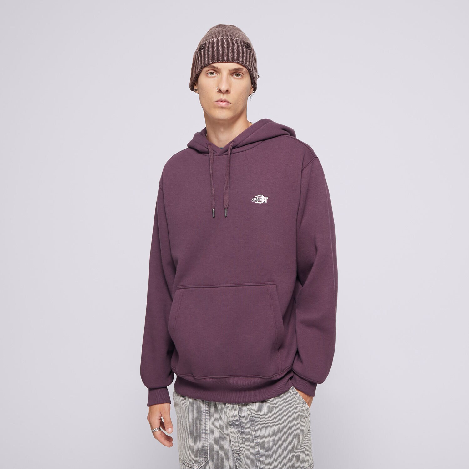 Muške dukserice DICKIES VESTA S KAPULJAČOM SUMMERDALE HOODIE DK0A4Y6PJ561 ljubičasta