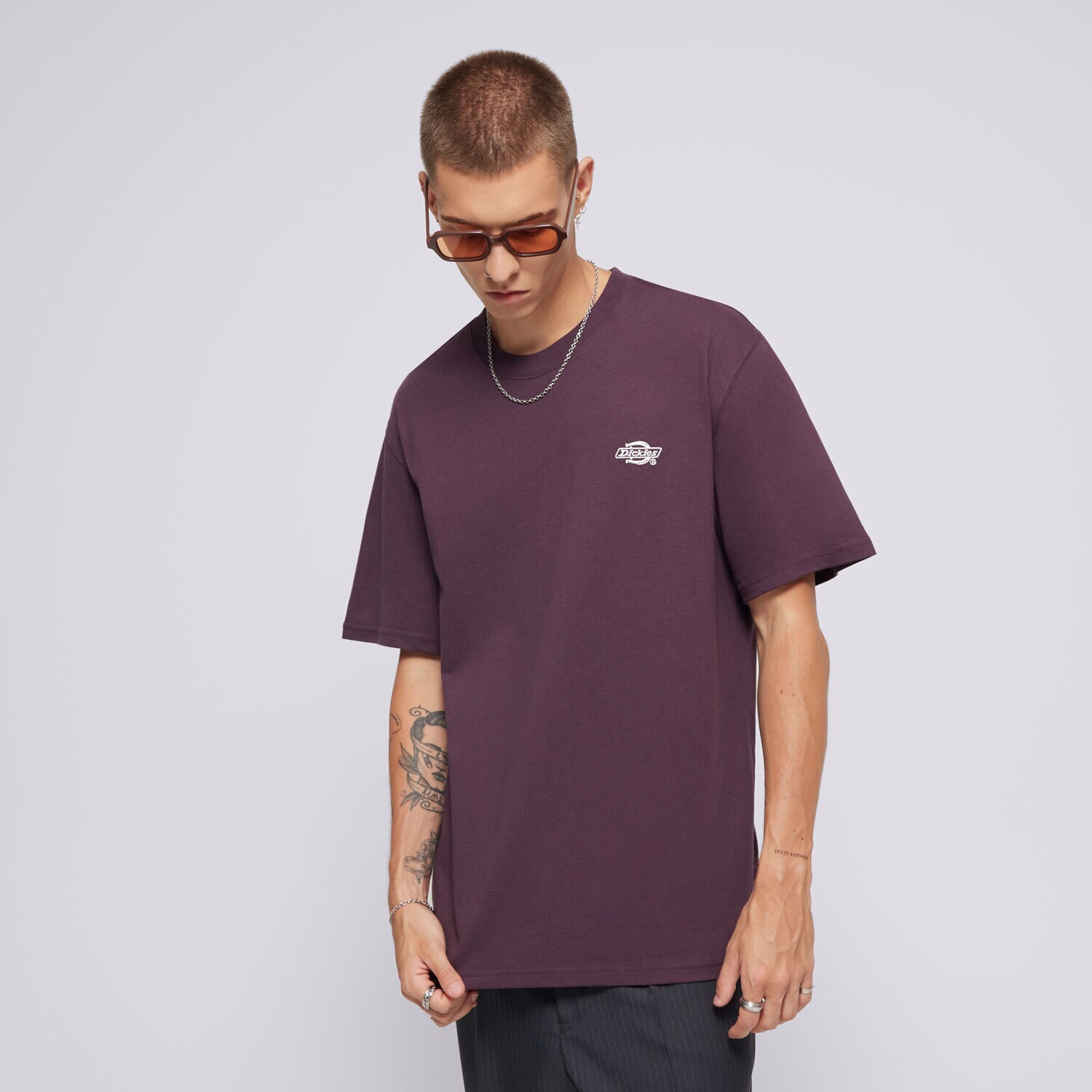 Muške majice DICKIES T-SHIRT SUMMERDALE SS TEE DK0A4YAIJ561 ljubičasta