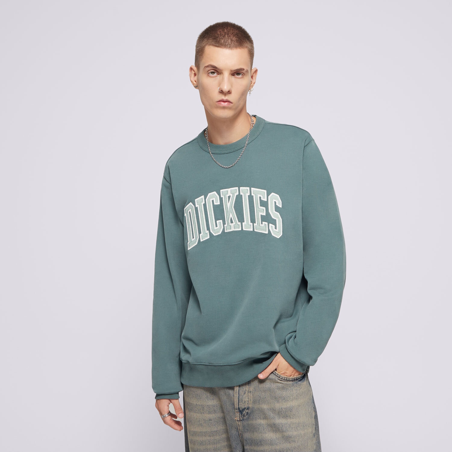 Muške dukserice DICKIES VESTA AITKIN SWEATSHIRT