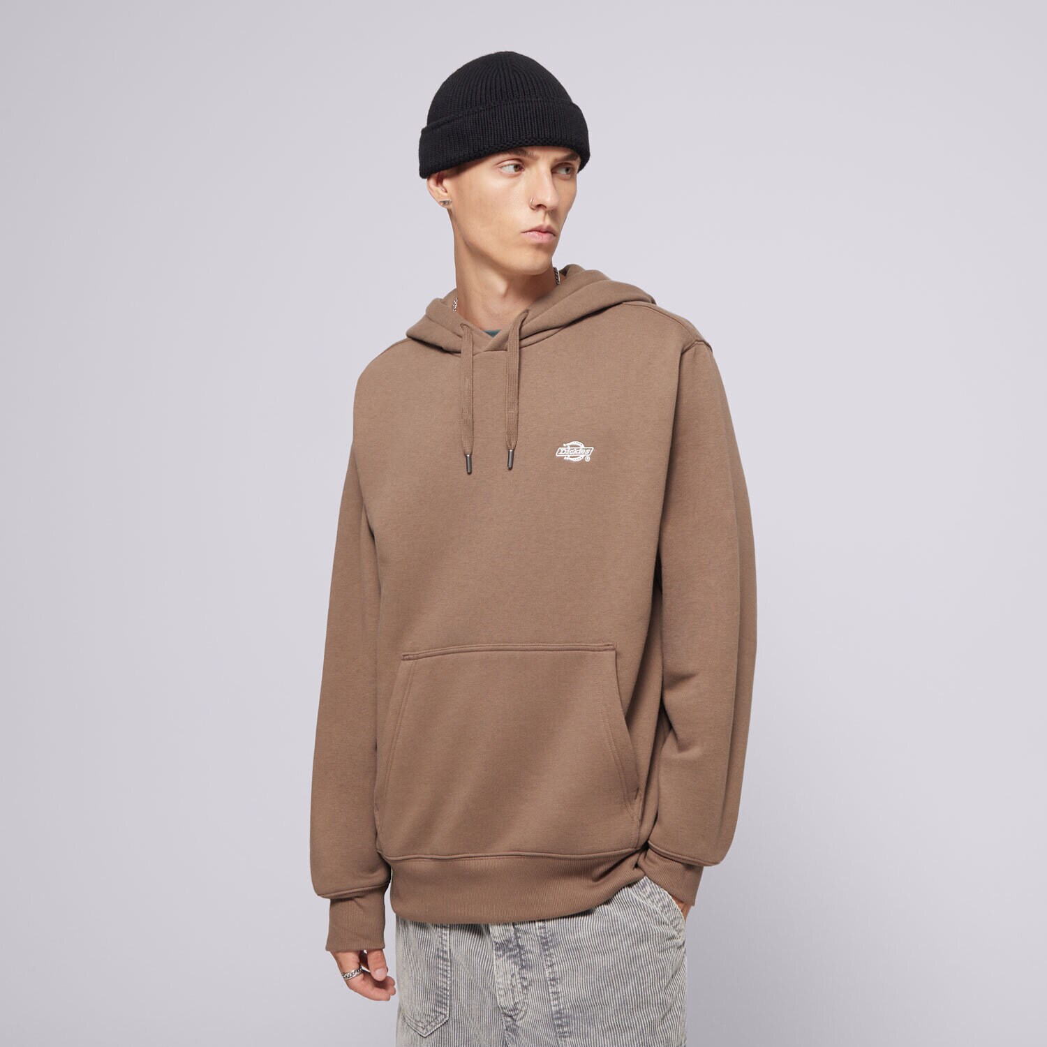 Muške dukserice DICKIES VESTA S KAPULJAČOM SUMMERDALE HOODIE DK0A4Y6PMR11 crna