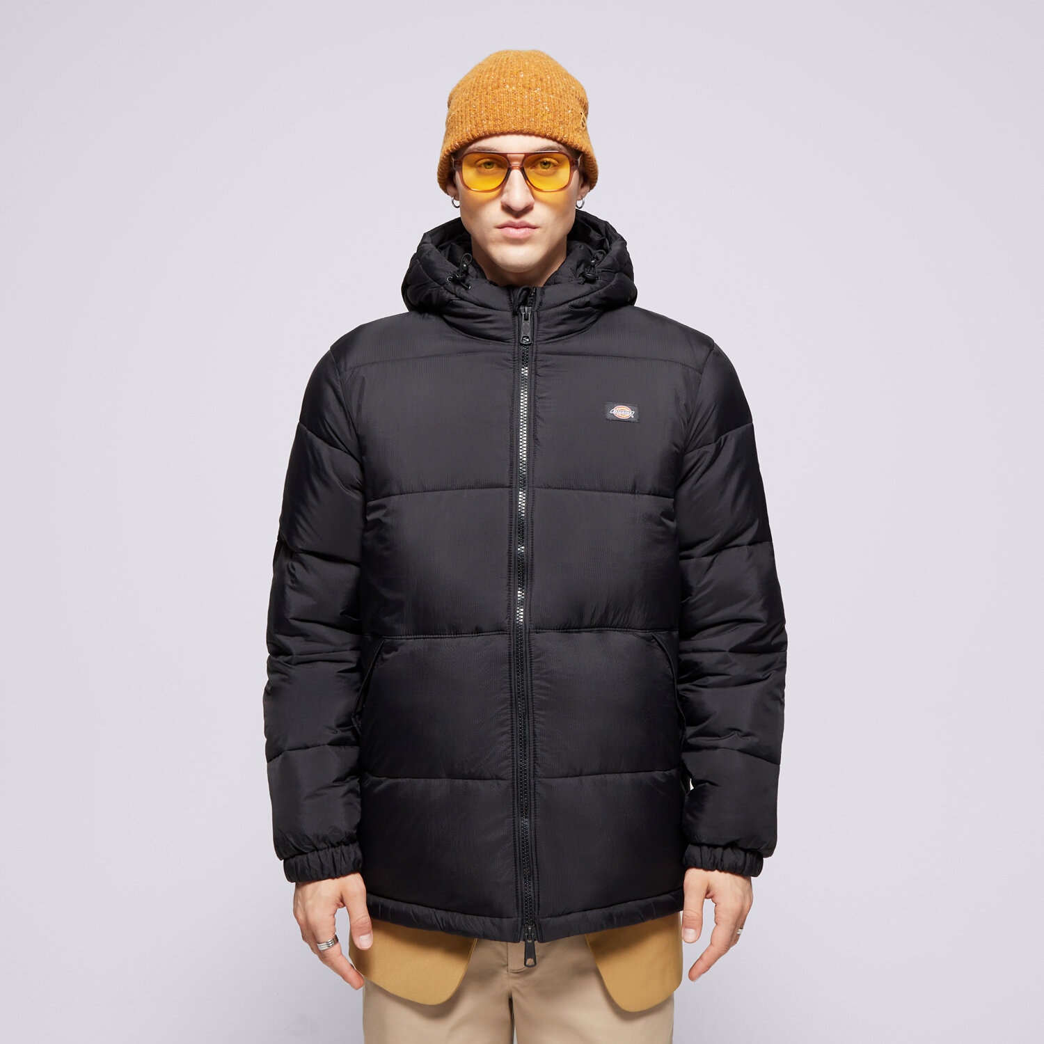 Muške zimske jakne DICKIES JAKNA ZIMSKA WALDENBURG HOODED JACKET DK0A4YEYBLK1 ljubičasta