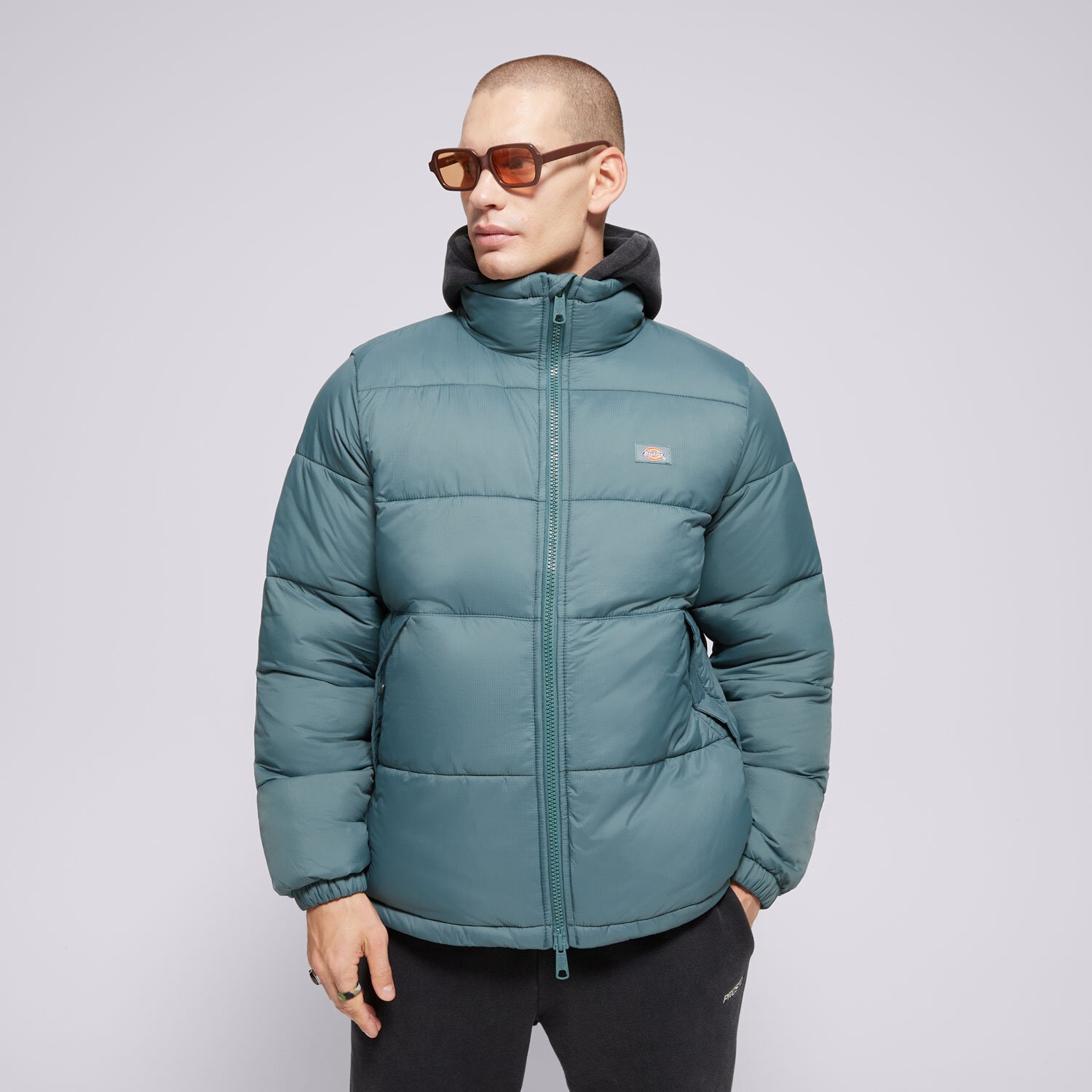 Muške zimske jakne DICKIES JAKNA ZIMSKA WALDENBURG JACKET DK0A4XP20LN1 plava
