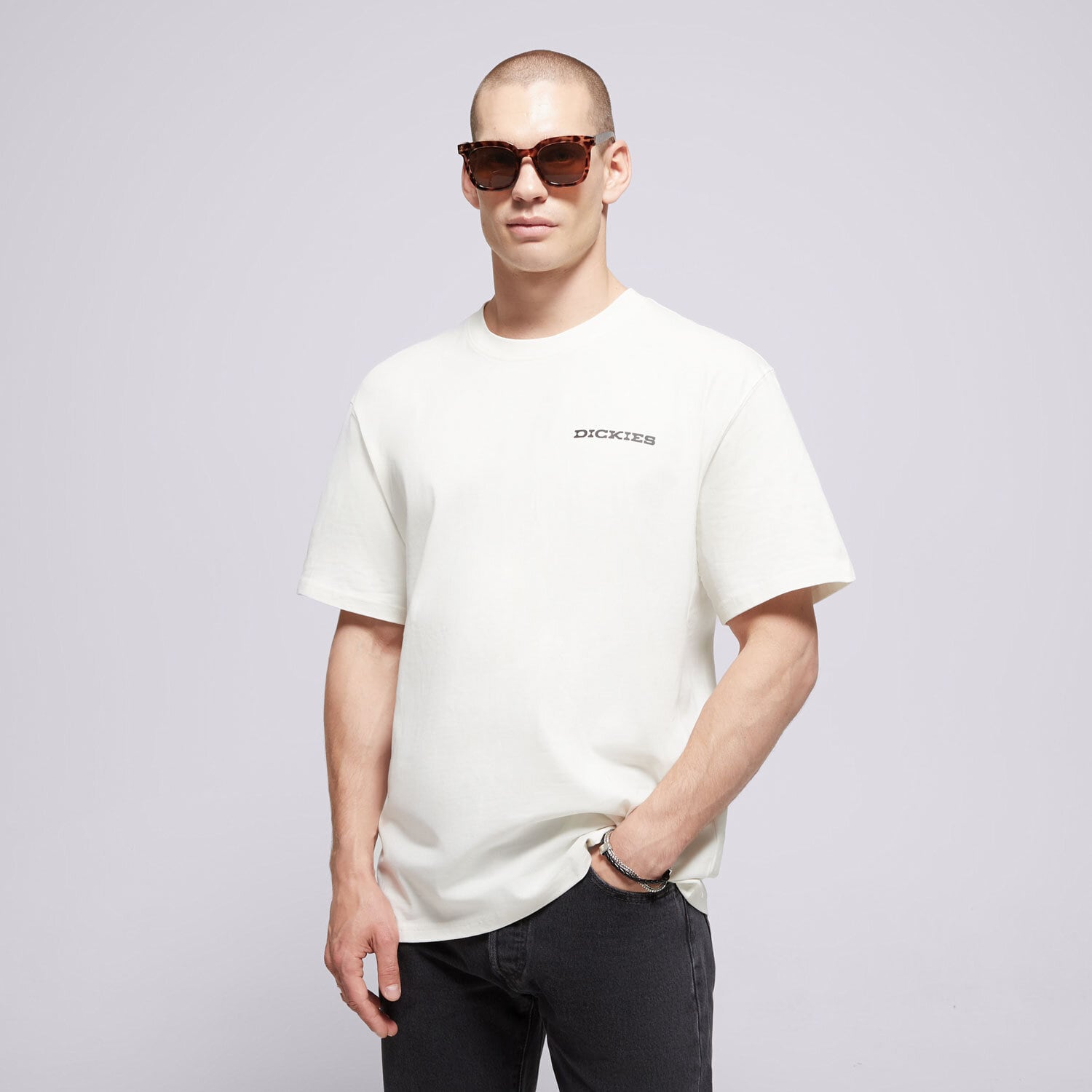 Muške majice DICKIES T-SHIRT LANDASCAPE SS TEE DK0A4Z8VC481 bijela