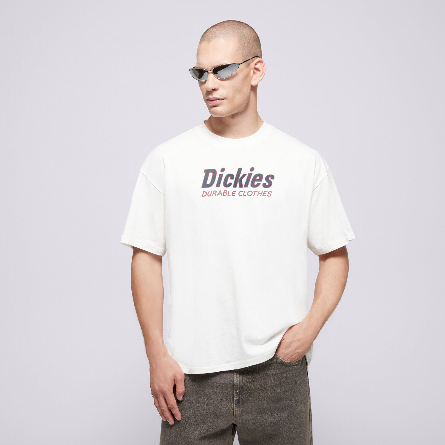 Muške majice DICKIES T-SHIRT WILLISTON TEE SS DK0A87YLC481 bež