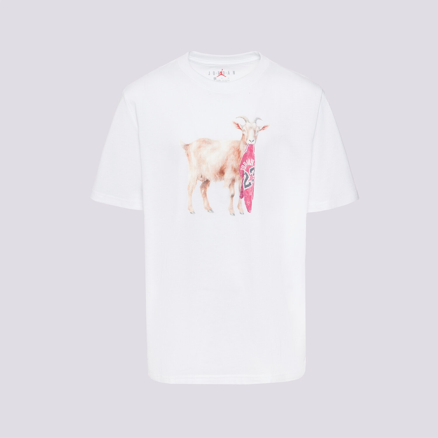 Dječje majice JORDAN T-SHIRT JDB MJ FLT GOAT SS CREW BOY 95F314-001 bijela