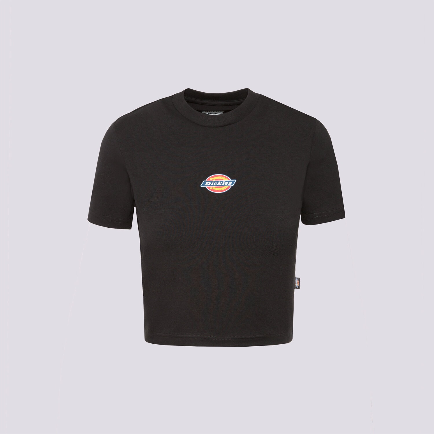 Ženske majice DICKIES T-SHIRT MAPLE VALLEY TEE DK0A4XPOBLK1 crna