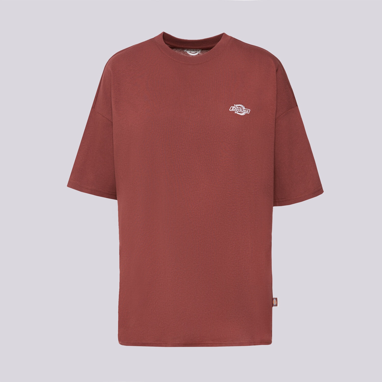 Ženske majice DICKIES T-SHIRT SUMMERDALE SS TEE DK0A4Y1BL161 smeđa