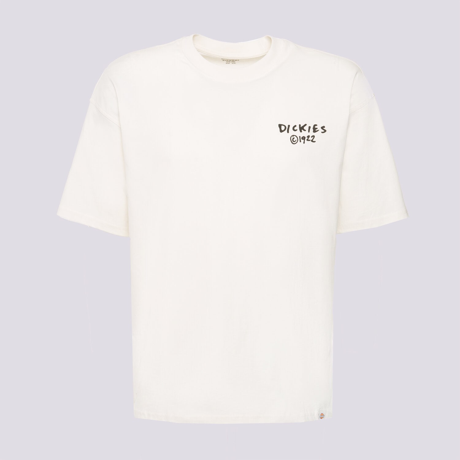 Muške majice DICKIES T-SHIRT SNEEDVILLE TEE SS DK0A87QOC481 bež