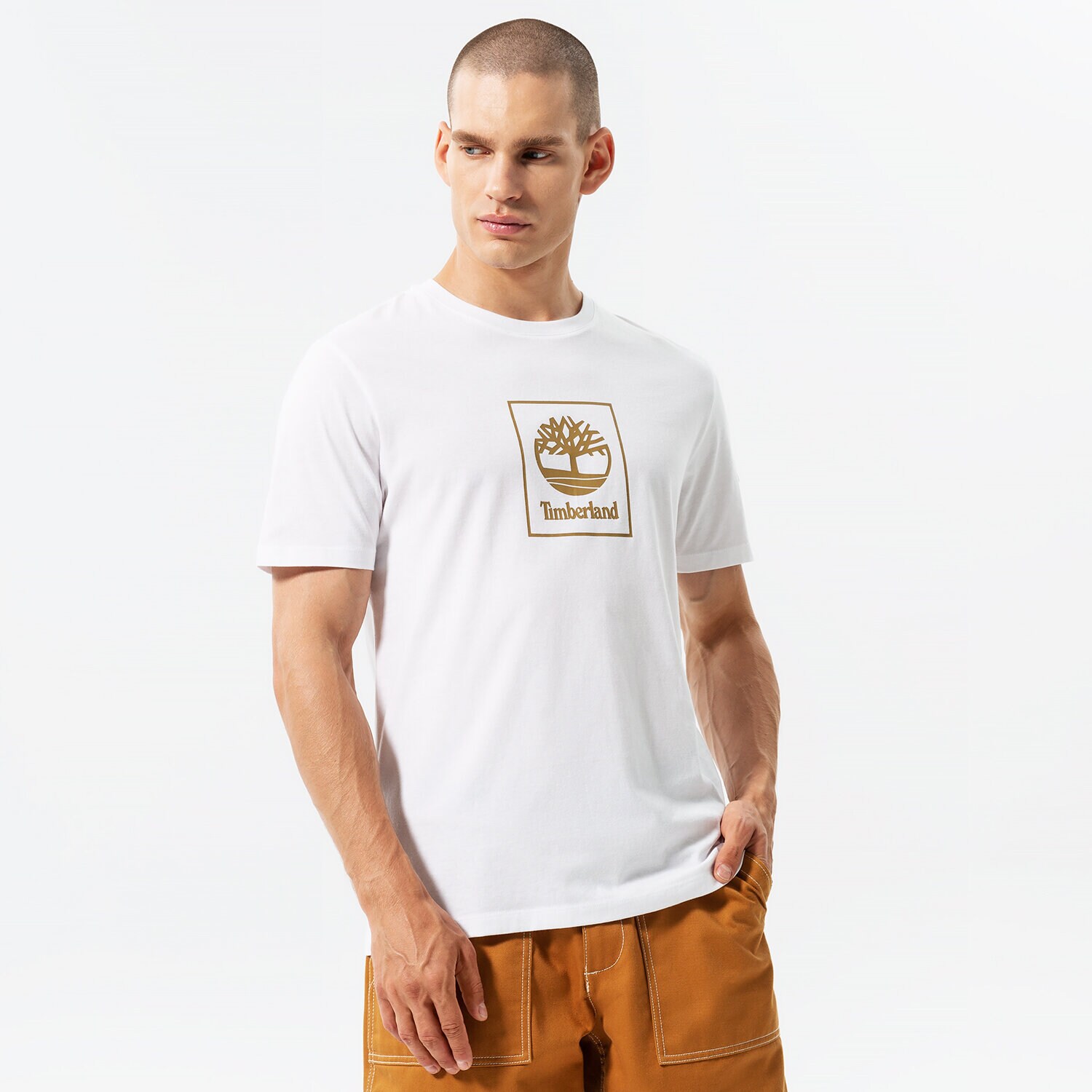 Muške majice TIMBERLAND T-SHIRT STACK LOGO WHITE/ANTIQUE BRONZE TB0A5ZH1DH11 bijela