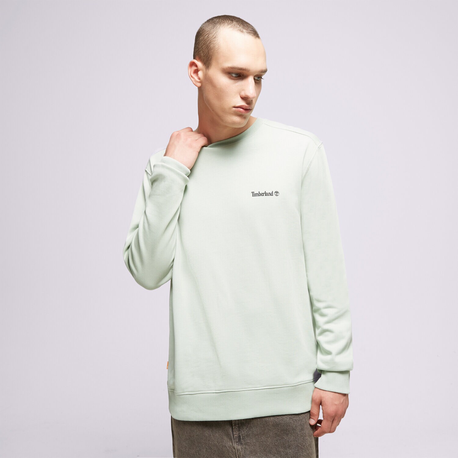 Muške dukserice TIMBERLAND VESTA SMALL LOGO PRINT TB0A5PDVQ431 siva